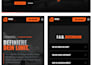 develop you a professional fivem website